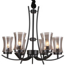 Black Iron Chandelier Lighting Interior Lamp (SL2246-6)